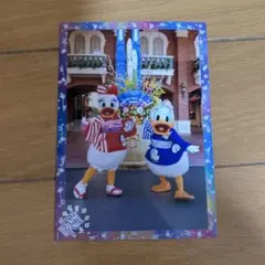 ディズニー 2009年 お正月 スペシャルフォト ドナルド　デイジー