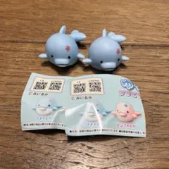 2025年最新】みいるか ゆるいるかの人気アイテム - メルカリ