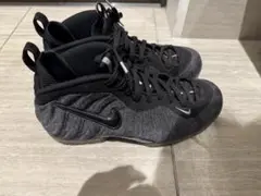 NIKEAIR FOAMPOSITE PRO グレー×ブラック28.5cm