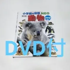 Item thumbnail for item f7c9a882-4cb7-44df-a0df-08c88b99b5e2