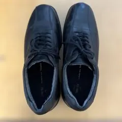 Item thumbnail for item 2de61d70-9029-449d-962b-53d25bfa0567