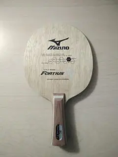 Item thumbnail for item 16c0fece-9c05-488c-a813-3e82bc29837d