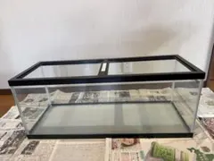メダカのための飼育ケース 13個セット ブラック ホワイト メダカのための飼育ケース 13個セット ブラック ホワイト - メルカリ