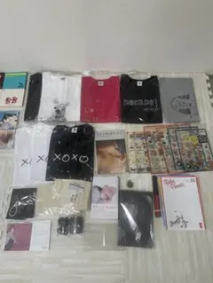 aiko LIVEグッズ　会報　DVD.CDまとめ売り