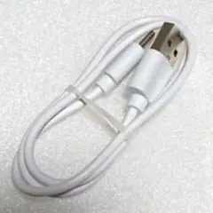 USB type A to USB type C ケーブル ホワイト