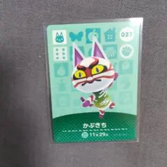 kuruchan様 リクエスト 2点 まとめ商品