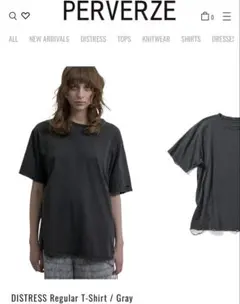 PERVERZE DISTRESS Regular T-Shirt Grayのサムネイル