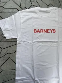 Item thumbnail for item 4e2702b7-ebd4-42e8-9093-9e8371902b0d