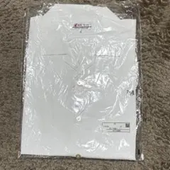 Item thumbnail for item e6ec7d5b-149a-44c1-a6fd-3e9152ebad68