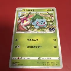 2026年最新】フシギダネプロモの人気アイテム - メルカリ