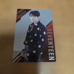 SEVENTEEN Wonwoo ウォヌ　ウェハース　カード