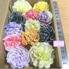 ソラフラワー　2078