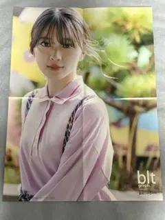 Item thumbnail for item 5e6d46d8-c0bf-46a8-b1b5-5e4a643dbf5e