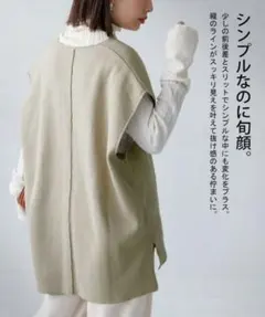 antiqua treecafe ミラノリブ ニットベスト トップス ニット