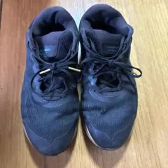 Item thumbnail for item a1882de7-7ceb-48bf-b15d-f1715056d605