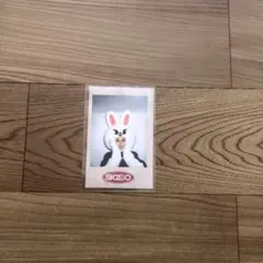 Stray Kids 予約特典 POLAROID ポラロイド リノ