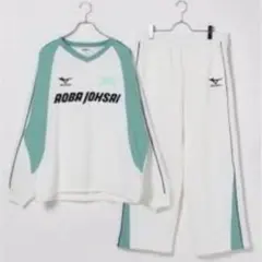 平成ねこ侍様 リクエスト 2点 まとめ商品