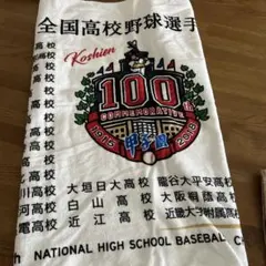 興南高校選抜出場記念タオル 興南高校野球部 甲子園出場記念タオル 沖縄 選抜 センバツ - メルカリ