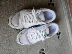 Item thumbnail for item 96b0954e-225f-4364-931e-34d13369b339