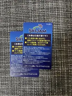 スキージャム勝山 大人用リフト1日券
