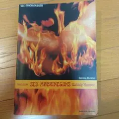 Item thumbnail for item 04feab3a-d2a0-4671-8404-48698bc15b0e