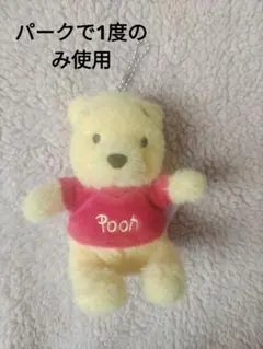 プーさん キーチェーン付き ふわモコぬいぐるみバッジ【ディズニーリゾート限定】