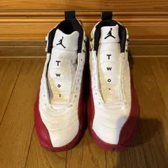 NIKE Air jordan12 レトロ