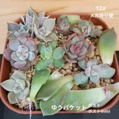 みちひな様 リクエスト 3点 まとめ商品