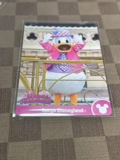 ディズニー　パルパーザ　ミニーのファンダーランド　コレクションカード　ドナルド