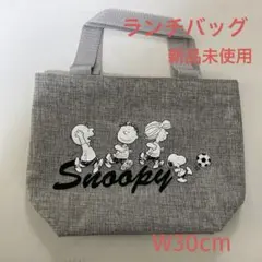 値下げ　SNOOPY スヌーピー　ランチバッグ　ミニバッグ　トートバッグ