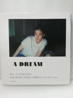 【初版・帯】蒼井優 写真集『A DREAM』上田義彦 ワニブックス 2012年