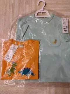 Item thumbnail for item 916ae16a-13e9-4206-8b69-4cda985241f5