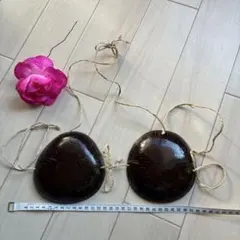 【未使用品】ココナッツブラ　タヒチアン　ハワイ購入