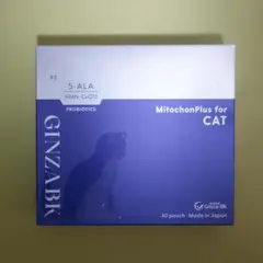 Item thumbnail for item 20afd798-30a6-4e9a-8516-991d26c98cd5