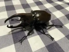 いきもの大図鑑　かぶとむし05　ケンタウルスオオカブト