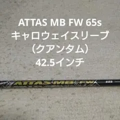 ATTAS MB FW 65s キャロウェイスリーブ付のサムネイル
