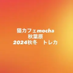 バラ売り可】にゃんずトレカ町田ジョルナ店 2024 - メルカリ