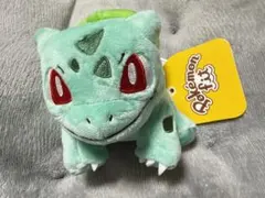 一番くじ ポケモン 30th C賞 カントー地方 フシギダネ ぬいぐるみ
