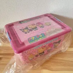 【新品未使用】サンリオ ピンク ひょう柄 コンテナボックス 匿名配送のサムネイル