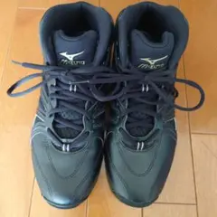 Item thumbnail for item d3588706-4b6e-4a38-a144-6c437f0030d2