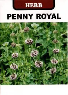 Nu‐chan様 リクエスト 5点 まとめ商品