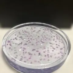 Item thumbnail for item 38ff5c17-35b2-4ca9-9282-497236ba3b23