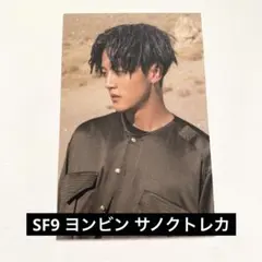 2026年最新】SF9トレカの人気アイテム - メルカリ