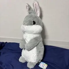 【新品】うさっち うさちっち 特大ぬいぐるみ グレー タグ付き うさぎのサムネイル