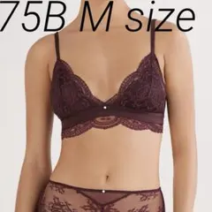 トライアングル75BソングM La Vie en Roseインティミッシミ