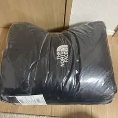 韓国　NORTH FACE NOVELTY NUPTSE DOWN JACKET