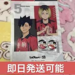 【即日発送可能】ハイキュー くら寿司 クリアファイル 黒尾鉄朗 缶バッジ 音駒