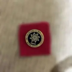 【希少】長野五輪　限定ピンバッジ