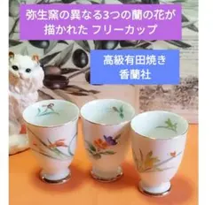 Item thumbnail for item 3f5a957d-1a2e-47fe-83f5-e9efebd28dc0