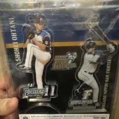 大谷翔平/北海道日本ハムファイターズ 大谷翔平 投手三冠への軌跡〈2枚